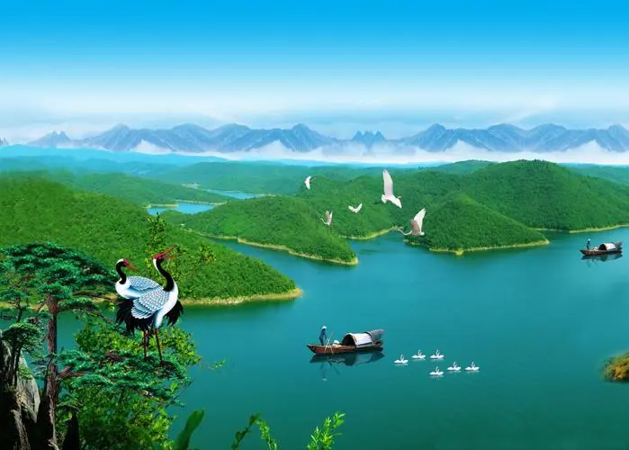 先进全自动高端